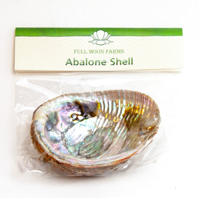 abalone shell